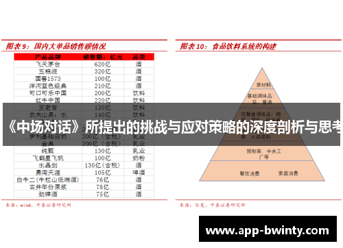 《中场对话》所提出的挑战与应对策略的深度剖析与思考