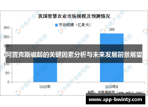 阿贾克斯崛起的关键因素分析与未来发展前景展望