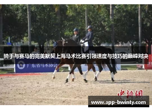 骑手与赛马的完美默契上海马术比赛引领速度与技巧的巅峰对决