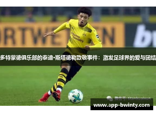 多特蒙德俱乐部的泰迪·斯塔德勒致敬事件：激发足球界的爱与团结